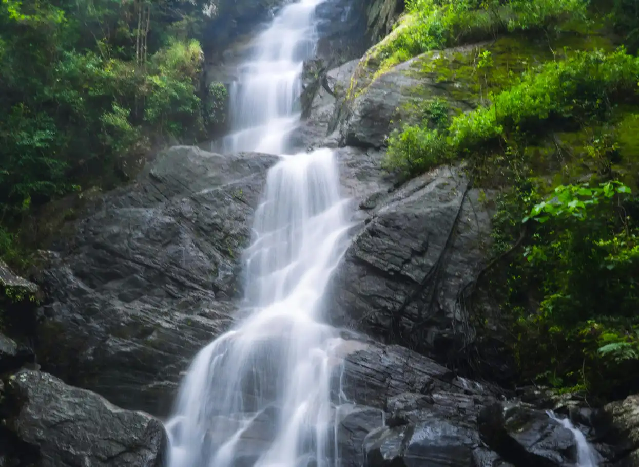 Sri lanka